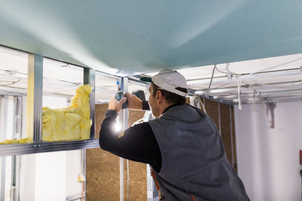 Types of Insulation We Offer in Tamarac, FL