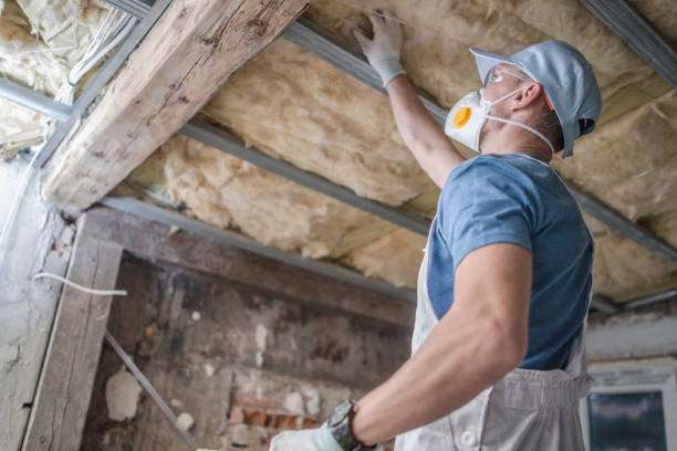 Best DIY Insulation Kits and Guidance in Tamarac, FL