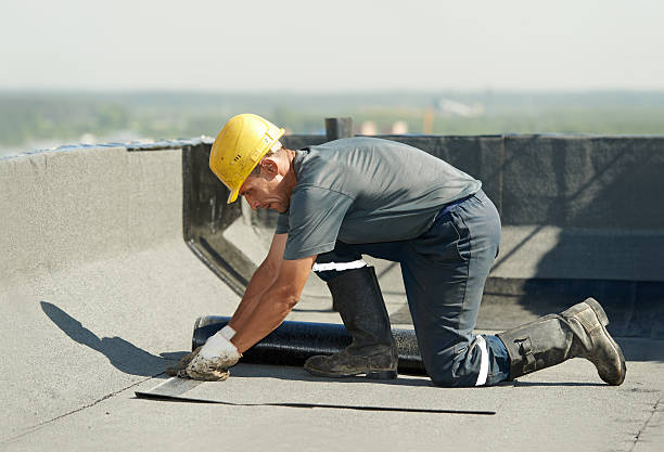 Best Blown-in Insulation in Tamarac, FL